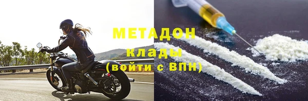 прущие грибы Верея