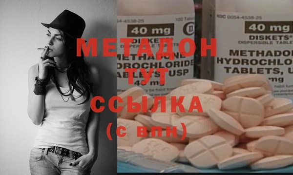 прущие грибы Верея