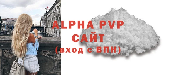 прущие грибы Верея
