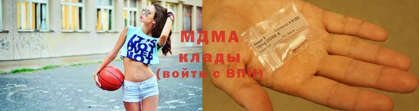 прущие грибы Верея