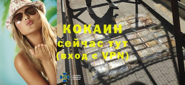 прущие грибы Верея
