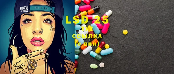 прущие грибы Верея
