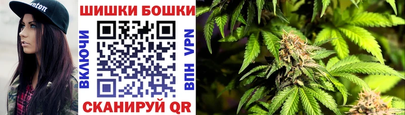 Конопля Bruce Banner  Купить где  Лагань 